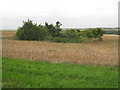 Disused pit near Bracken Farm