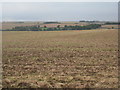 View towards Withcall from Goulceby Lane