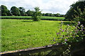 Field on the edge of Sarre