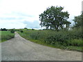 Track to Colways Farm, Hasfield