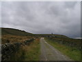 SD9824 : Pennine Bridleway west towards Swillington Farm by John Slater