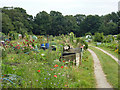 Allotments, Burhill Road