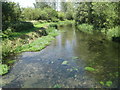 River Kennet from Stone Lane Bridge