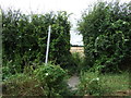 Footpath towards Ashwell End