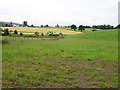 Fields south of Auchterarder