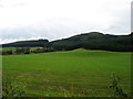 Fields at Rossie Farm