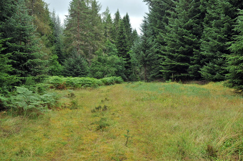 Overgrown forest road near Dalnapot © Steven Brown cc-by-sa/2.0 ...