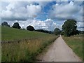 Cardlemere Lane near Bank Cottage