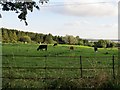 Thurlaston-Biggin Hall Lane