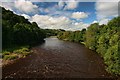 River South Tyne