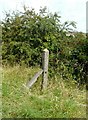 Southern Region fence post