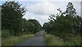 N2865 : Local road, Ballygarveybeg by Richard Webb