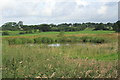 SD6126 : Pond in fields, off Chapel Lane, Hoghton by K  A