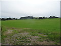 View to Gaer Hill WT Station masts