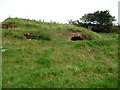 Remains of old lime kilns