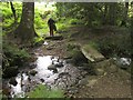 Crossing the Moortown Brook