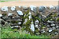 Upright stone near the Wren