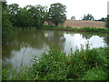 Quiet pool near Great Boulsdon Farm