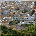 Portland roofscape (1)