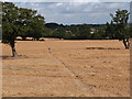 Footpath through combined field