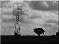 Pylon on skyline