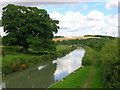 Kennet and Avon Canal near Freewarren Bridge