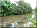 The Chesterfield Canal