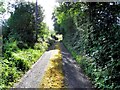 H6124 : Road at Drumlinney by Kenneth  Allen