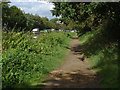 Towpath, River Wey Navigation