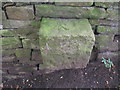 Rivet benchmark by a path off Halifax Road