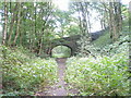 Bridge over the old railway near Dodge Royd Wood