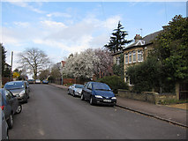 TL4559 : Chesterton Hall Crescent by Hugh Venables