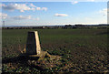 Field with trig point near Middleton Tyas