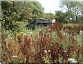 Former Second World War pillbox, Laceys Drove, Locking