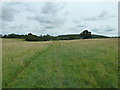 Footpath to Walsopthorne