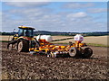 Disc Harrowing Oil Seed Rape Stubble