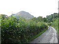 Lane in Cwm Pennant