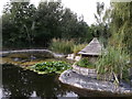 Ornamental Duck Pond, Langthorn Park