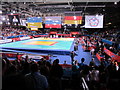 Paralympics judo medal ceremony