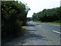 Leckford Lane looking south