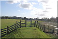 TQ9221 : Gate, Sussex Border Path by N Chadwick