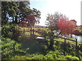 Barony Hill Trail near Moorston