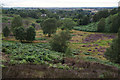 Slopes above Brocton