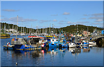 NR8668 : Tarbert Harbour by The Carlisle Kid