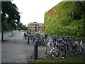 Bicycles at Churchill College