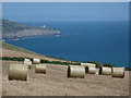 SY9675 : St. Aldhelm’s Head: a coastal view east by Chris Downer