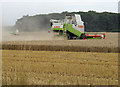 TA0614 : Combining on Wootton Wolds by David Wright