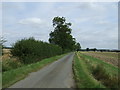 Lane towards Harpswell