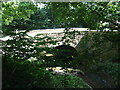 SY9582 : Bridge at Corfe Castle by Malc McDonald