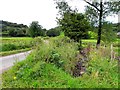 Road at Tullycorker